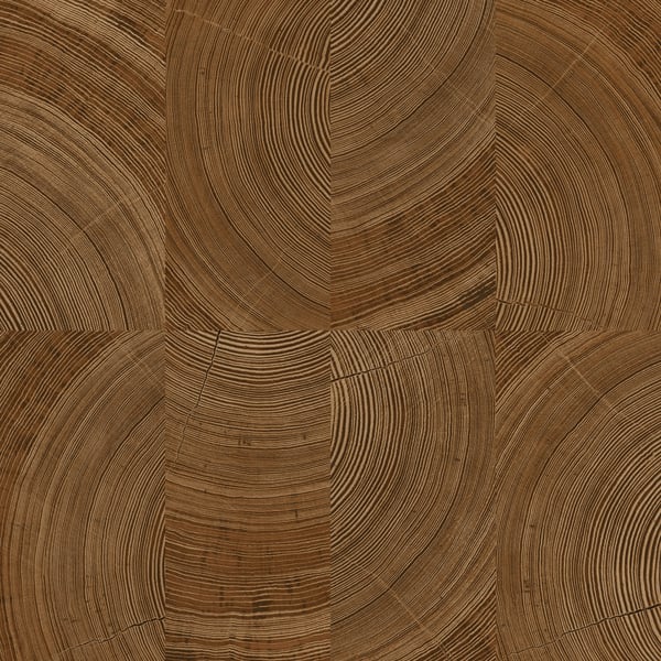 Galerie Wallpaper Product code: A69101 - Karuna Wallpaper Collection - Brown Colours -  