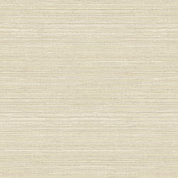 Galerie Wallcoverings Product Code: G45423 - Natural FX 2 Wallpaper Collection Galerie Wallcoverings Product Code G45423 - Natural FX 2 Wallpaper Collection - Cream Beige Colours - Grasscloth Design