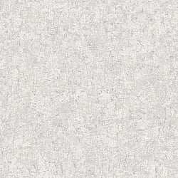 Galerie Wallcoverings Product Code: G78108 - Texture Fx Wallpaper Collection Galerie Wallcoverings Product Code G78108 - Texture Fx Wallpaper Collection - Greys White Colours - Scratch Texture Design