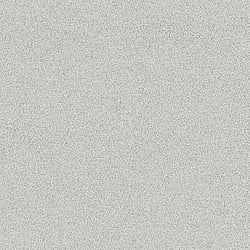 Galerie Wallcoverings Product Code: G78147 - Texture Fx Wallpaper Collection Galerie Wallcoverings Product Code G78147 - Texture Fx Wallpaper Collection - Charcoal Black Colours - Speckle Design