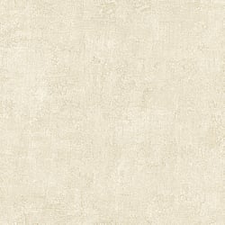 Galerie Wallcoverings Product Code: G78156 - Texture Fx Wallpaper Collection Galerie Wallcoverings Product Code G78156 - Texture Fx Wallpaper Collection - Beige Colours - 3D Plaster Design