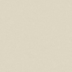 Galerie Wallcoverings Product Code: G78160 - Texture Fx Wallpaper Collection Galerie Wallcoverings Product Code G78160 - Texture Fx Wallpaper Collection - Light Gold Light Warm Silver Colours - Micro Linen Design