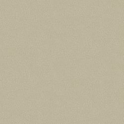 Galerie Wallcoverings Product Code: G78163 - Texture Fx Wallpaper Collection Galerie Wallcoverings Product Code G78163 - Texture Fx Wallpaper Collection - Olivey Beige Colours - Micro Linen Design