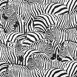Galerie Wallcoverings Product Code WH45239M - Welcome Home Murals Wallpaper Collection - Black, White Colours - Cluster of Zebras Design