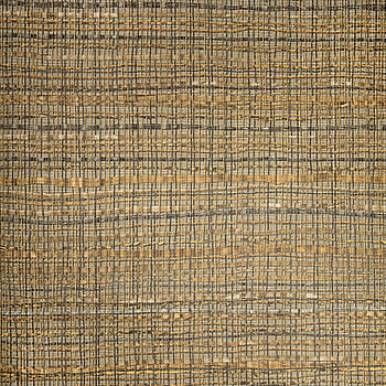 Galerie Wallcoverings Product Code 27101 - Pepper Wallpaper Collection - Curry Colours -  