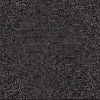 Galerie Wallcoverings Product Code 474107 - African Queen 2 Wallpaper Collection -   