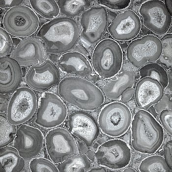 Galerie Wallcoverings Product Code 51220 - Pepper Wallpaper Collection - Black Cumin Colours -  