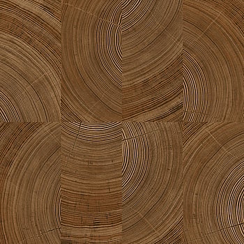 Galerie Wallcoverings Product Code A69101 - Karuna Wallpaper Collection - Brown Colours -  