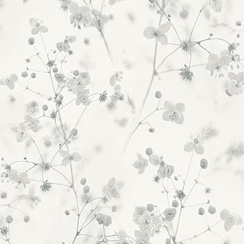 Galerie Wallcoverings Product Code BW51034 - Blooming Wild Wallpaper Collection - White Grey Colours -  