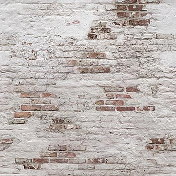Galerie Wallcoverings Product Code EP6101 - One Roll One Motif II Wallpaper Collection - White colours Colours -  