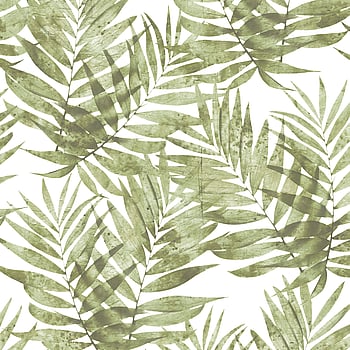 Galerie Wallcoverings Product Code G67944 - Organic Textures Wallpaper Collection - Green White Colours -  