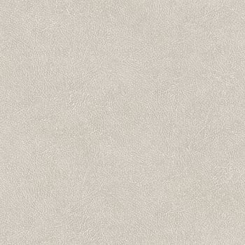Galerie Wallcoverings Product Code TA25020 - Shades Of Colour Wallpaper Collection - white  Colours -  