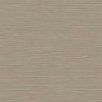 Galerie Wallcoverings Product Code WT71749 - Wall Textures Wallpaper Collection - Beige Colours -  